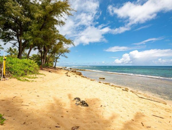 Spacious Kauai Beachfront 4 Bedroom Vacation Rental Ocean Views
