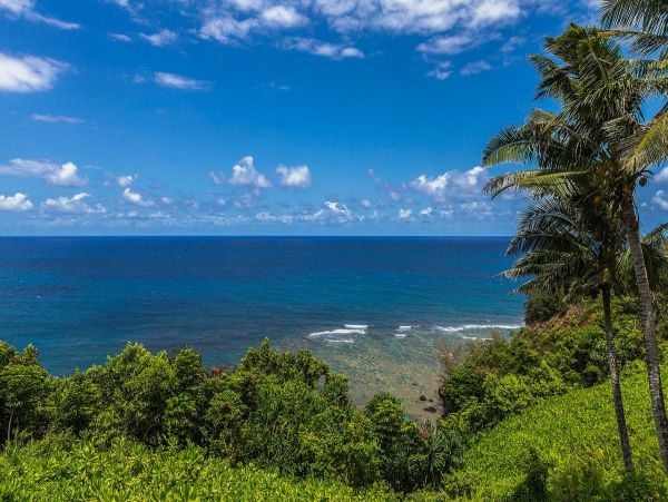 Luxury Vacation Rental with 4 Bedrooms in Princeville