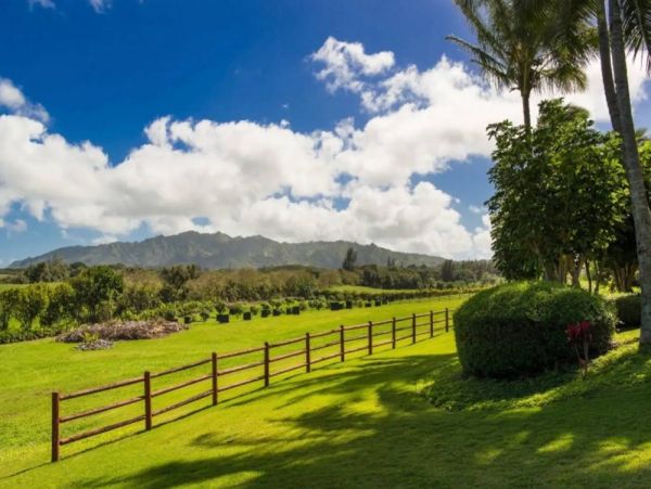 Oceanfront Three Bedroom Kilauea Vacation Rental