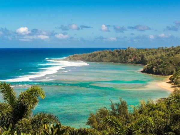 Oceanfront Three Bedroom Kilauea Vacation Rental