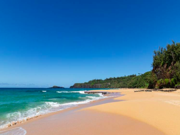 Kilauea 6 Bedroom Vacation Rental Breathtaking Ocean Views