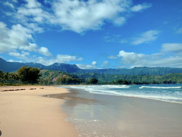 Beachfront Luxury Vacation Villa with Cottage