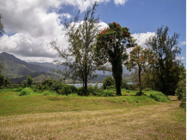 Luxury Kaui Vacation Villa with Private Pool Sleeps 10 Guests