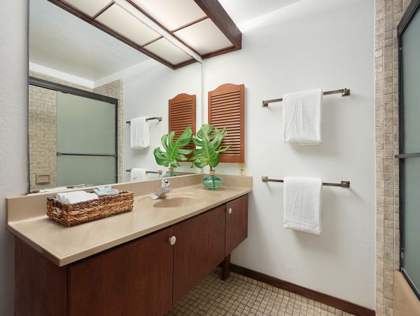 Koloapoipu Condo 1061684