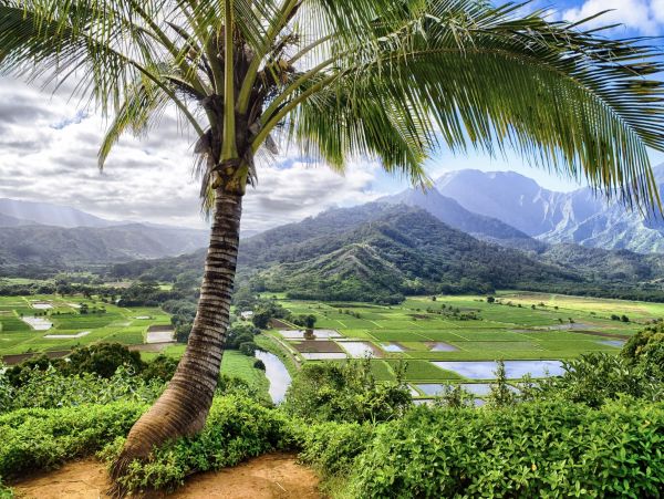 Luxury Princeville Vacation Rentals - Kauai North Shore Vacation Homes