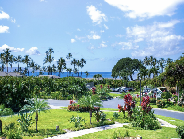 Maui One Level Luxury Interior Views of Pacific