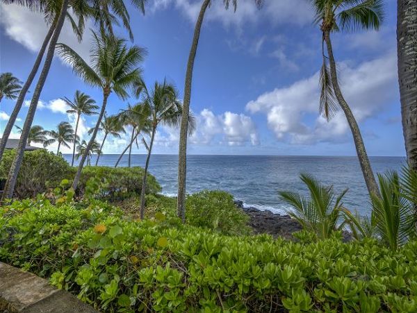 Koloapoipu Condo 1061742