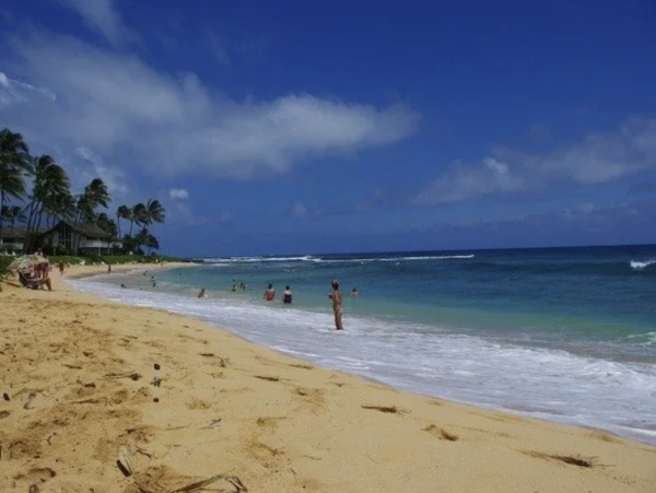 Located Above the Poipu Stunning Coastline