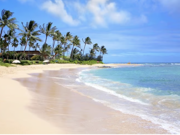 Located Above the Poipu Stunning Coastline