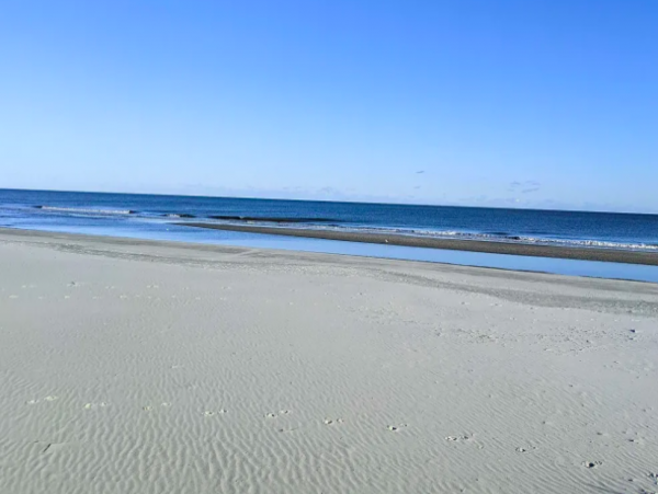 Pet Friendly resort near Beach- 3 Bedroom- 3.5 Bathrooms