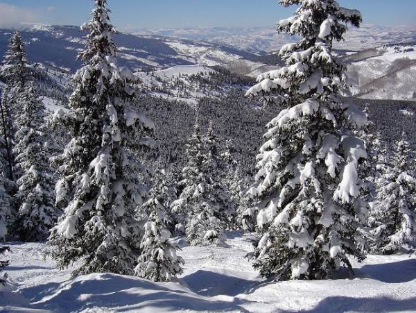 Vail Five Bedroom  Rental with Hot Tub & Breathtaking Mountain View