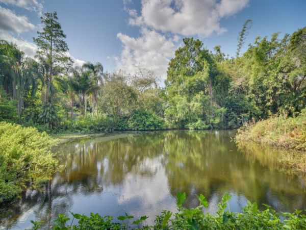 Enjoy a House to Relax in Tampa Bay