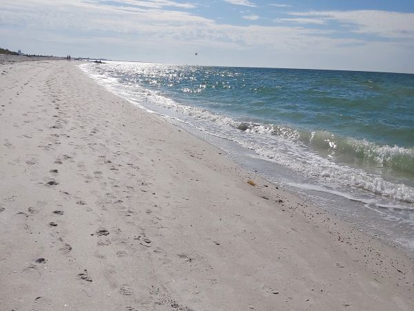 St Pete Three Bedroom Home, the Perfect Vacation Spot!