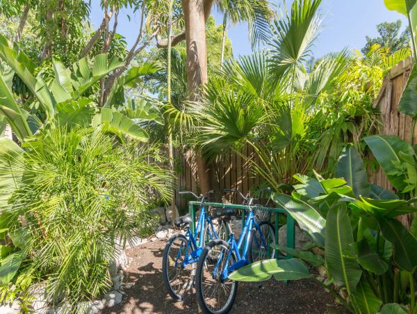 Cozy Vacation Rental in Key West