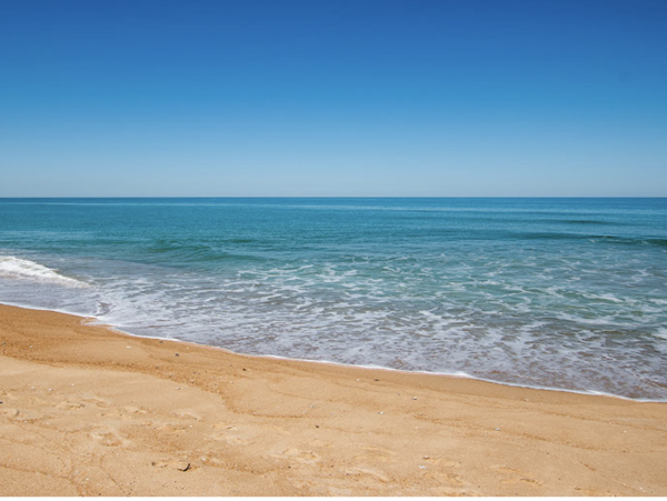 Discover Your Dream Vacation at a Luxurious 7-Bedroom Rental in Corolla