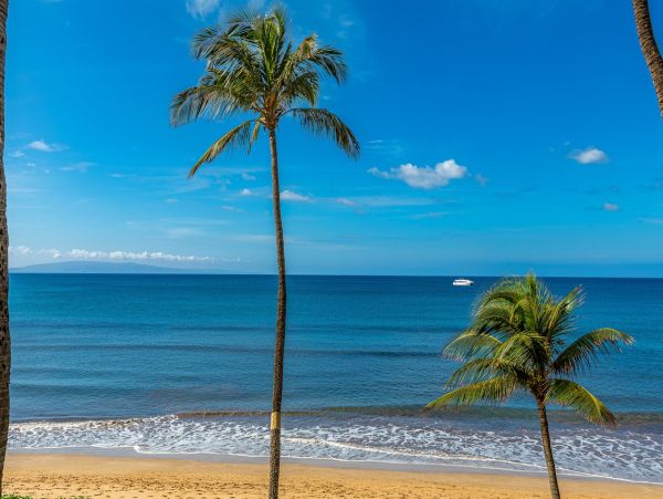 Kihei Oceanfront Exquisiste Two Bedroom Vacation Condo