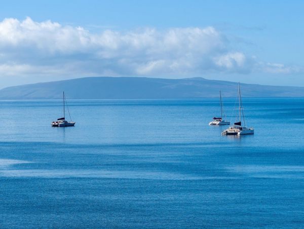 Kihei Oceanfront Exquisiste Two Bedroom Vacation Condo