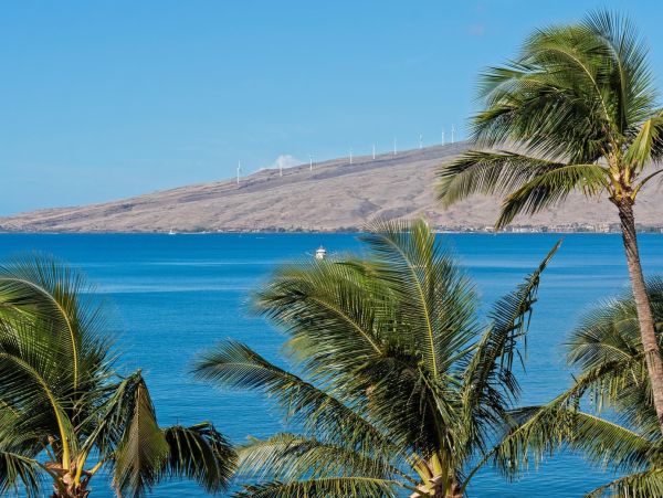 Kihei Oceanfront Exquisiste Two Bedroom Vacation Condo