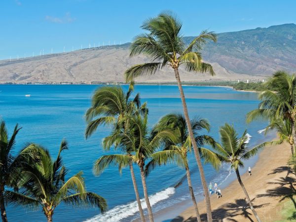 Kihei Oceanfront Exquisiste Two Bedroom Vacation Condo