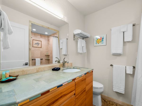 Wailea Condo 1064544
