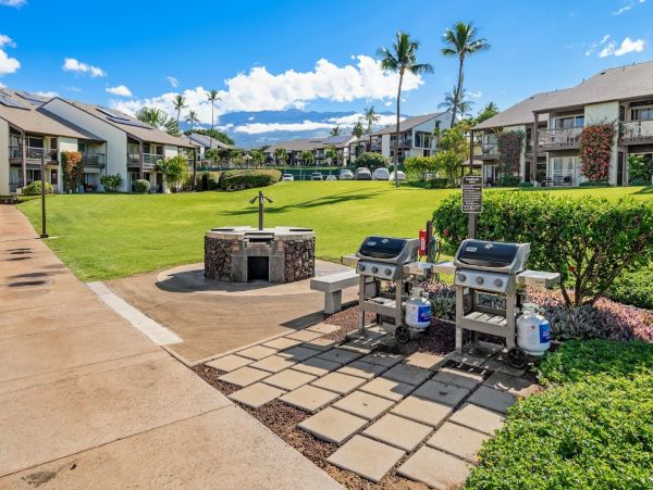Wailea Condo 1064544