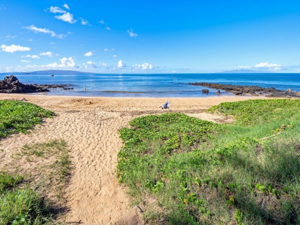 Wailea Condo 1064544