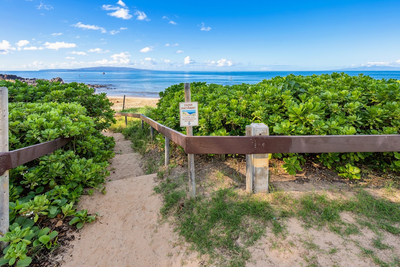 Wailea Condo 1064544