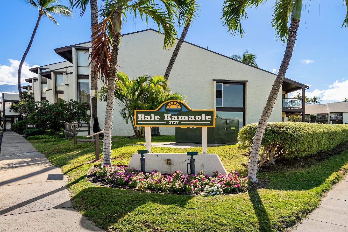 Wailea Condo 1064544
