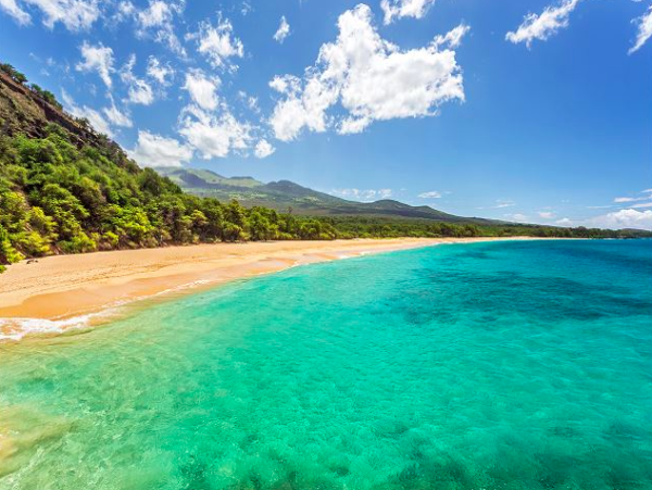 Charming Condo Steps from the Beach in South Kihei