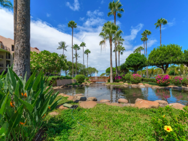 Charming 2-Bedroom Confo Steps from Kamaole Beach Park III