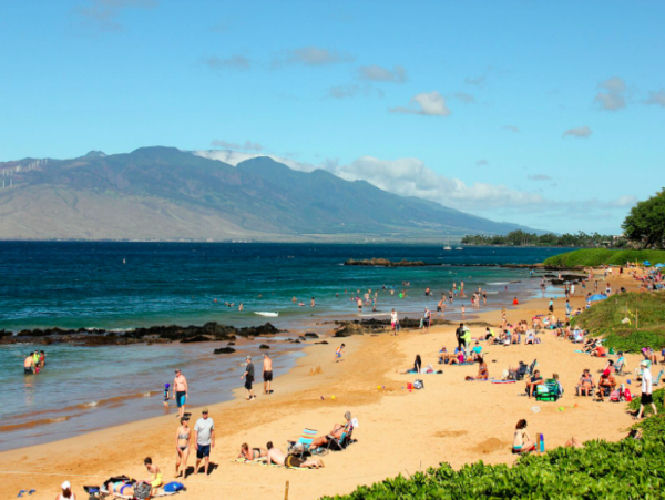 Charming 2-Bedroom Confo Steps from Kamaole Beach Park III