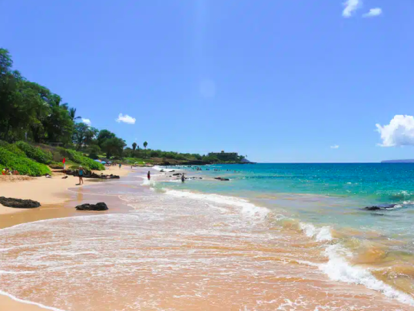 Charming 2-Bedroom Confo Steps from Kamaole Beach Park III