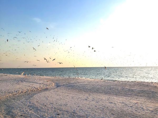 Treasure Island Vacation Condo Two Bedroom Gulf Front