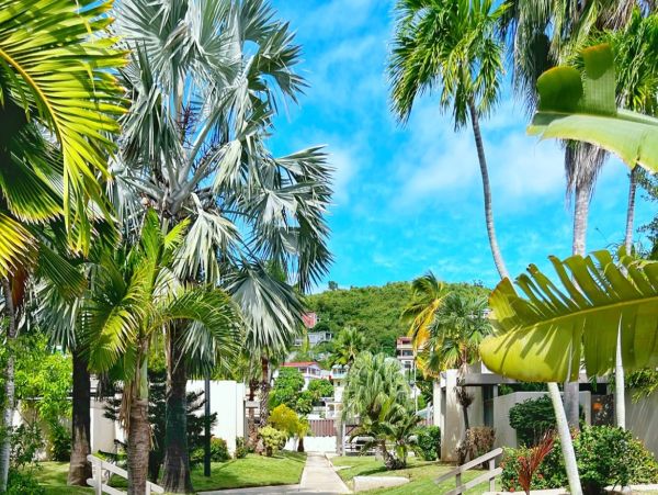 St. Thomas Vacation Rental Condo - Caribbean Luxury Vacation Home