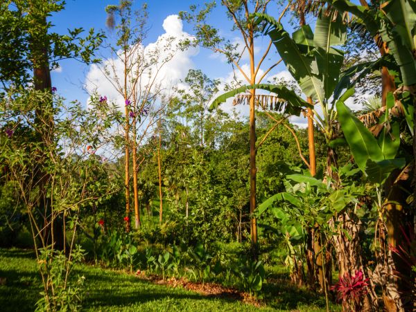 Costa Rica Vacation Rental with Private Pool - Jungle Villa for Families