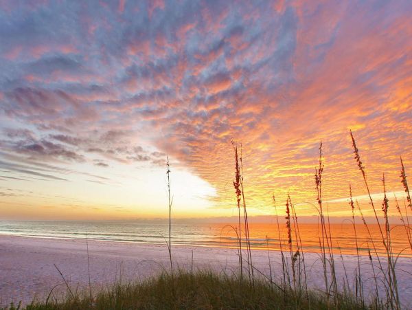 Anna Maria Vacation Rental Steps to the Beach