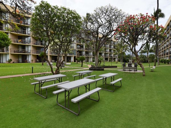 Beautiful One Bedroom Condo with Ocean View Sleeps 4 Guests