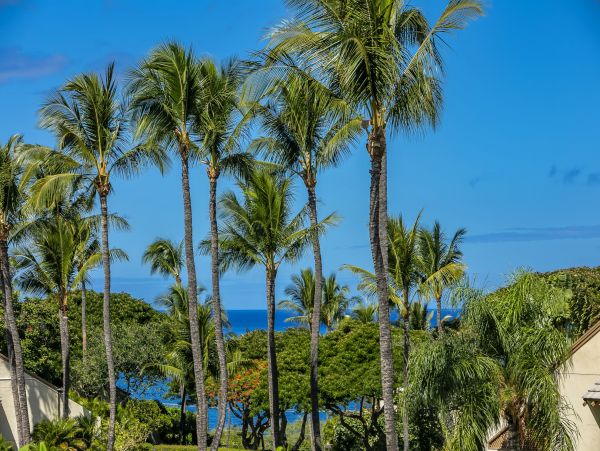 Wailea Vacation Condo One Bedroom Walk to Beach