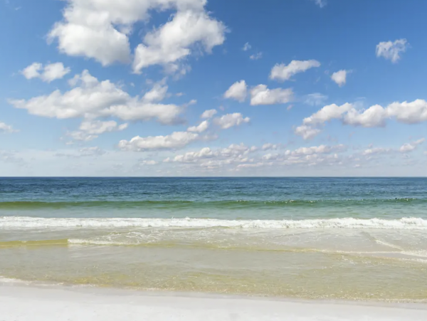 Gulf Shores Vacation Condo 1 Bedroom