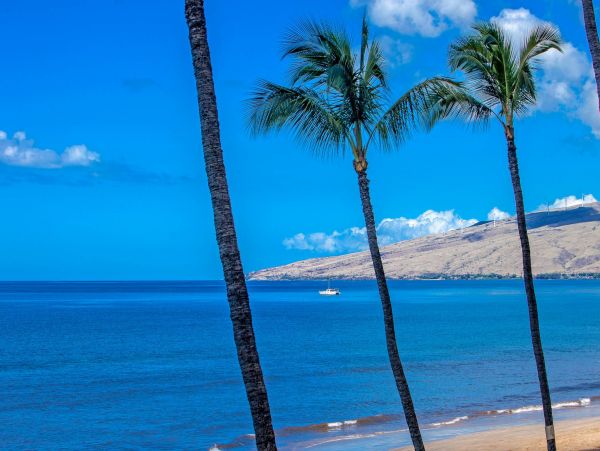 Oceanfront Vacation Rental in Kihei