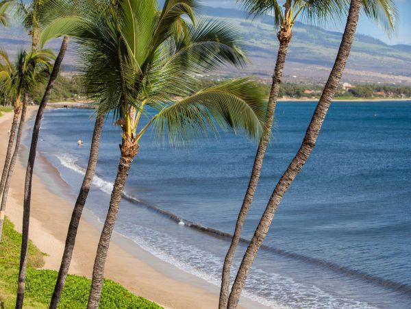Oceanfront Vacation Rental in Kihei