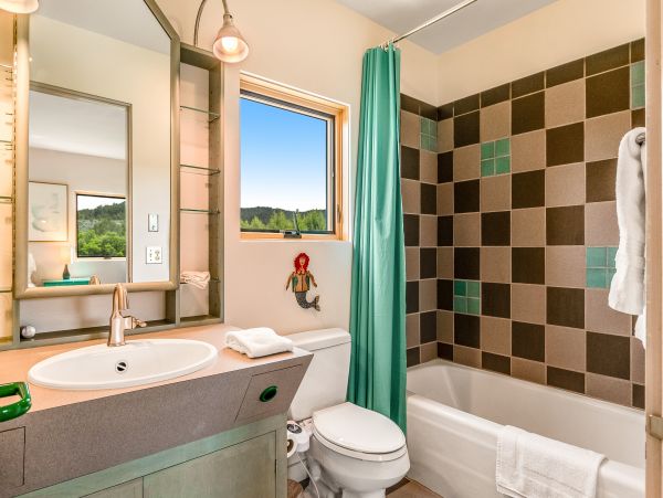 Carbondale Mountain Retreat with 5 Bedrooms