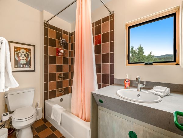 Carbondale Mountain Retreat with 5 Bedrooms