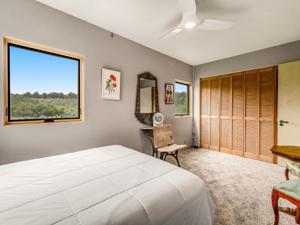 Carbondale Mountain Retreat with 5 Bedrooms