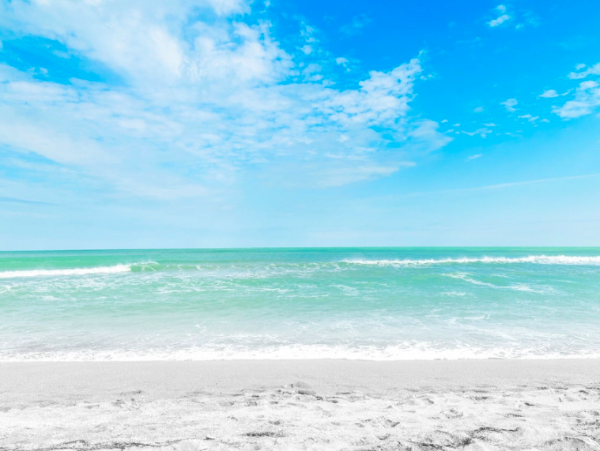 Spacious 3BR Condo on Siesta Key - Steps to the Beach