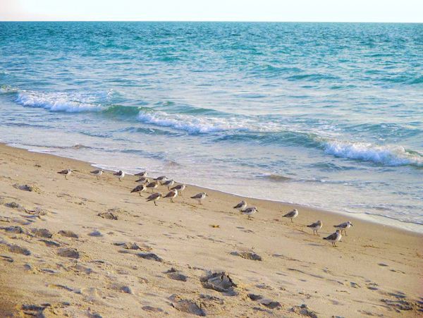Gulf Front Vacation Studio in Captiva Sleeps 2