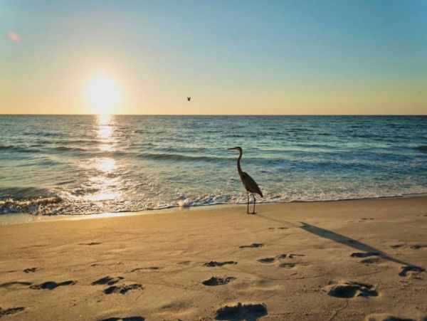 Gulf Front Vacation Studio in Captiva Sleeps 2