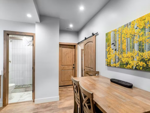 Vail Lionshead Home 1069292