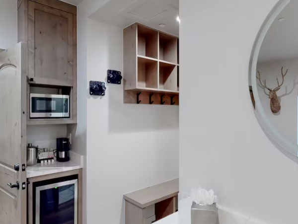 Vail Lionshead Home 1069294