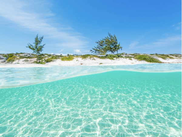 Rent 2 Bedroom Or the Entire Estate turks & Caicos